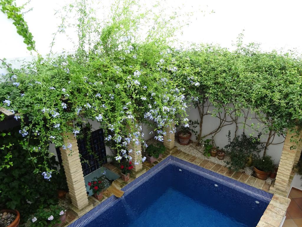Hotel Casa La Loba Medina-Sidonia Zewnętrze zdjęcie
